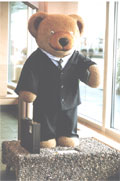 State Street Teddy